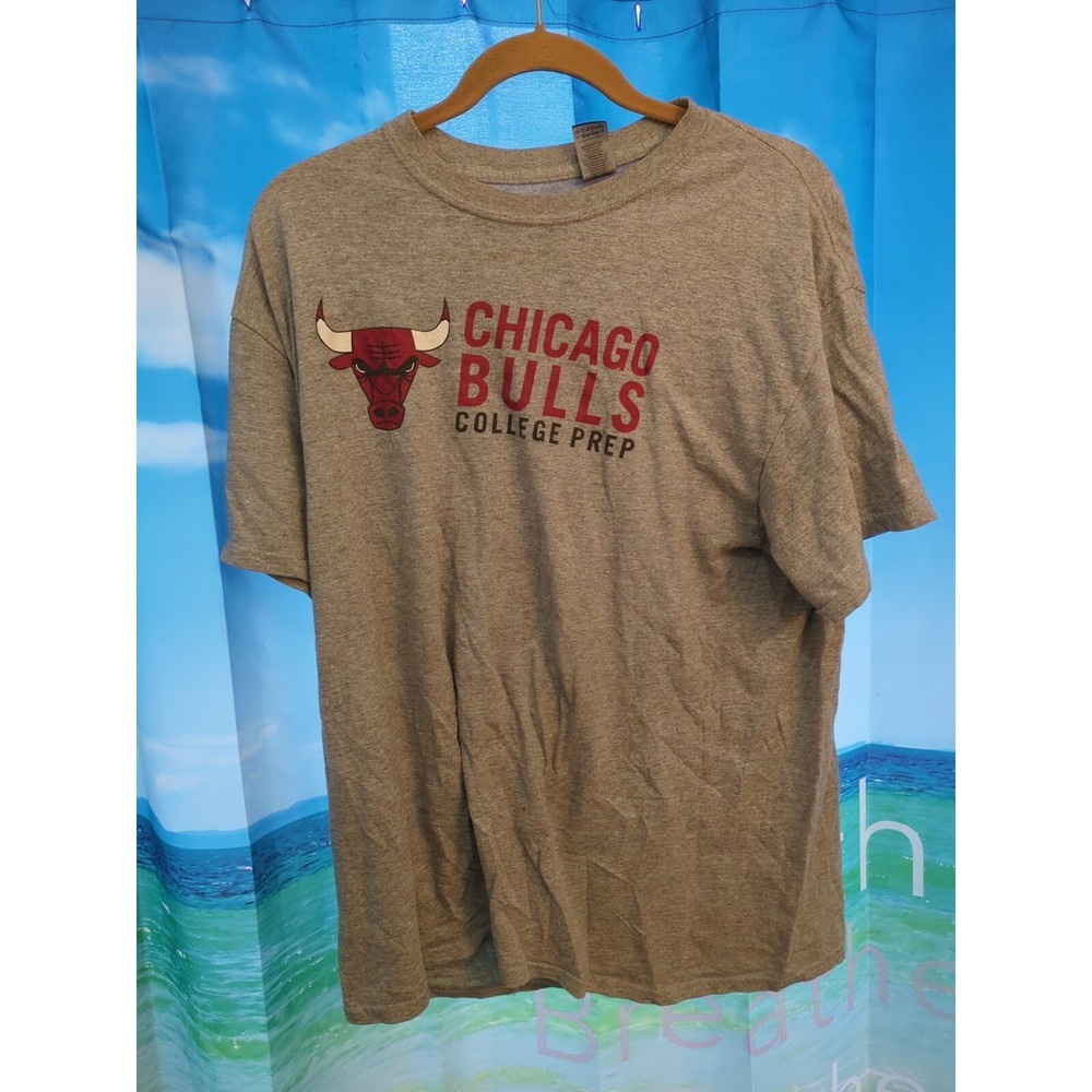 Chicago Bulls College Prep Gray Graphic T Shirt L Men A94